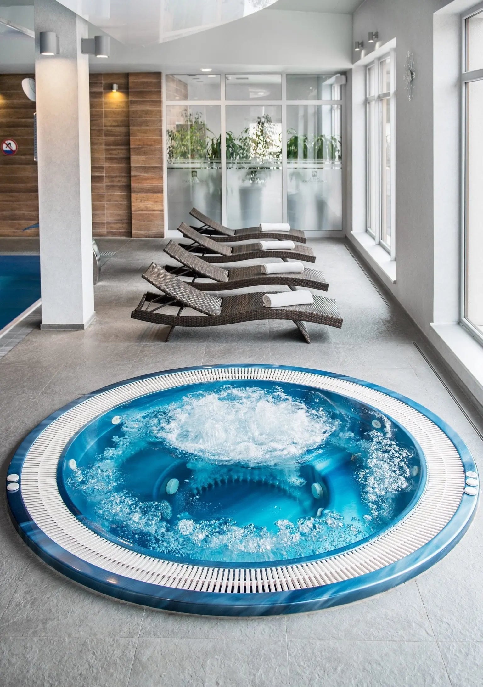 Realizacja strefy basenowej DELFIN SPA